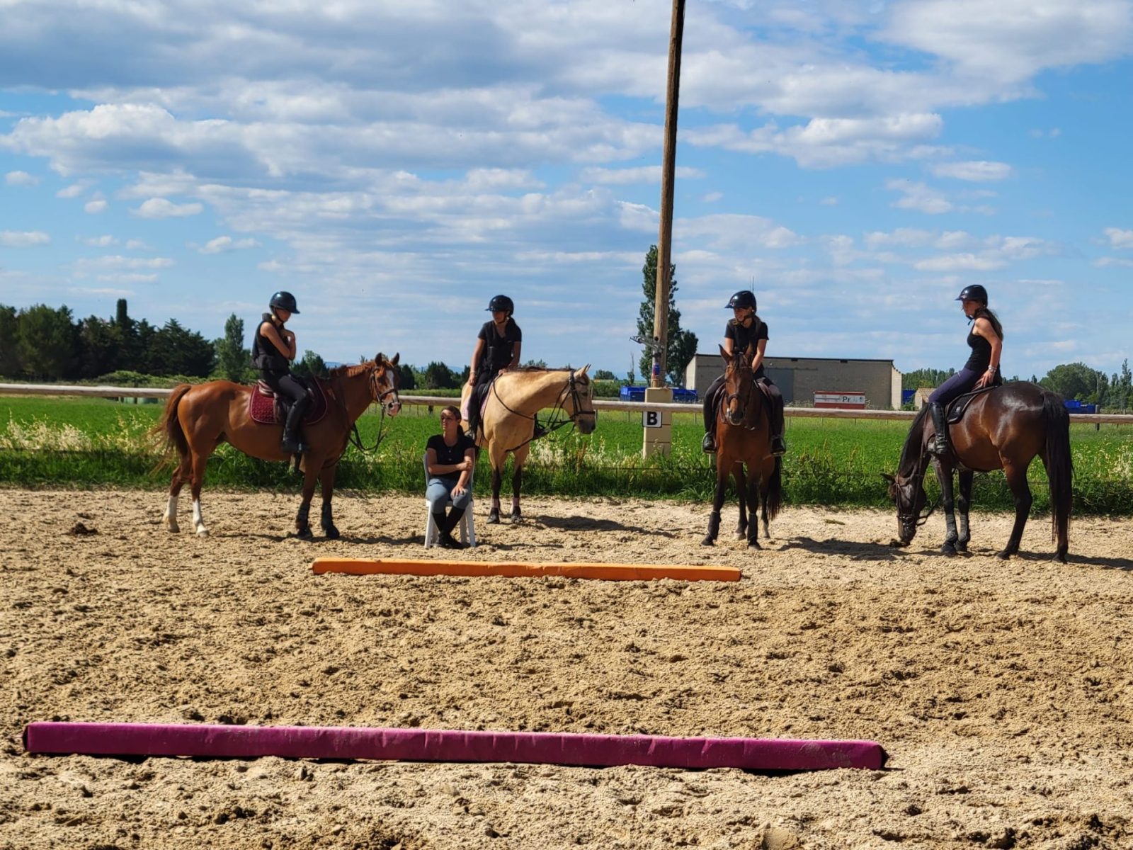 Concours équestres à Marsillargues
