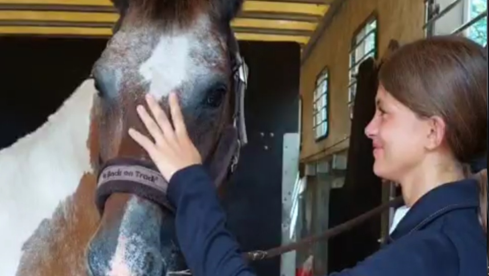 Ecuries De La Chantalette Centre Equestre A Marsillargues Departement De L Herault NEWchampionnat2023